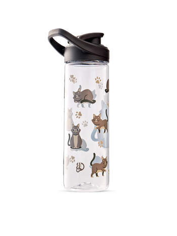 Vrolijke waterfles Grijze kat 700 ml