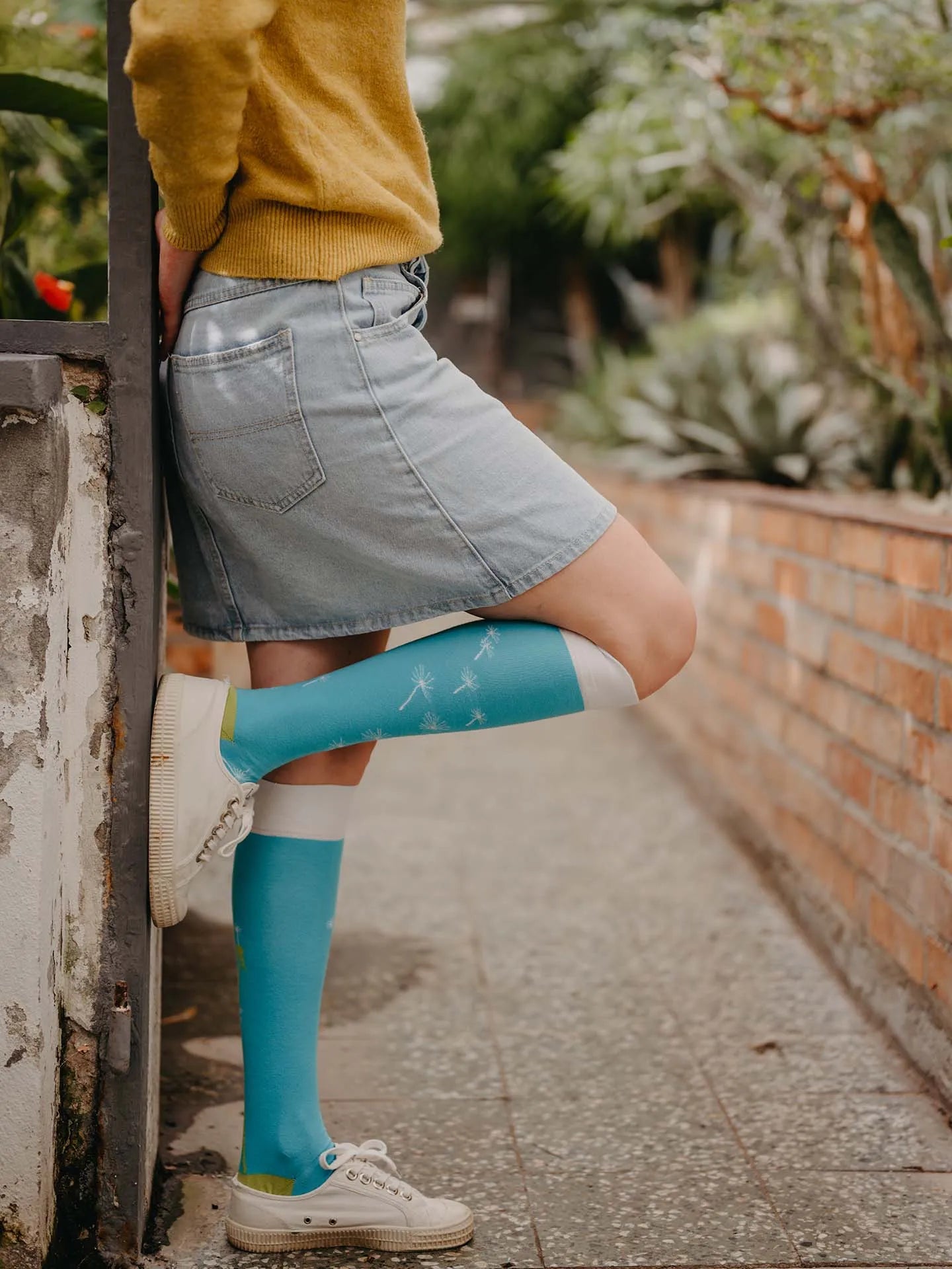 knee-high-socks-blowing-dandelion-1d/1df7e363c1bae1f794b6076448be404603641101