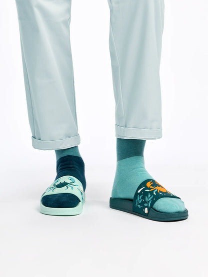 slides-sea-crab-28/2822f703ed77cb46040117d2b2601678b53a456b