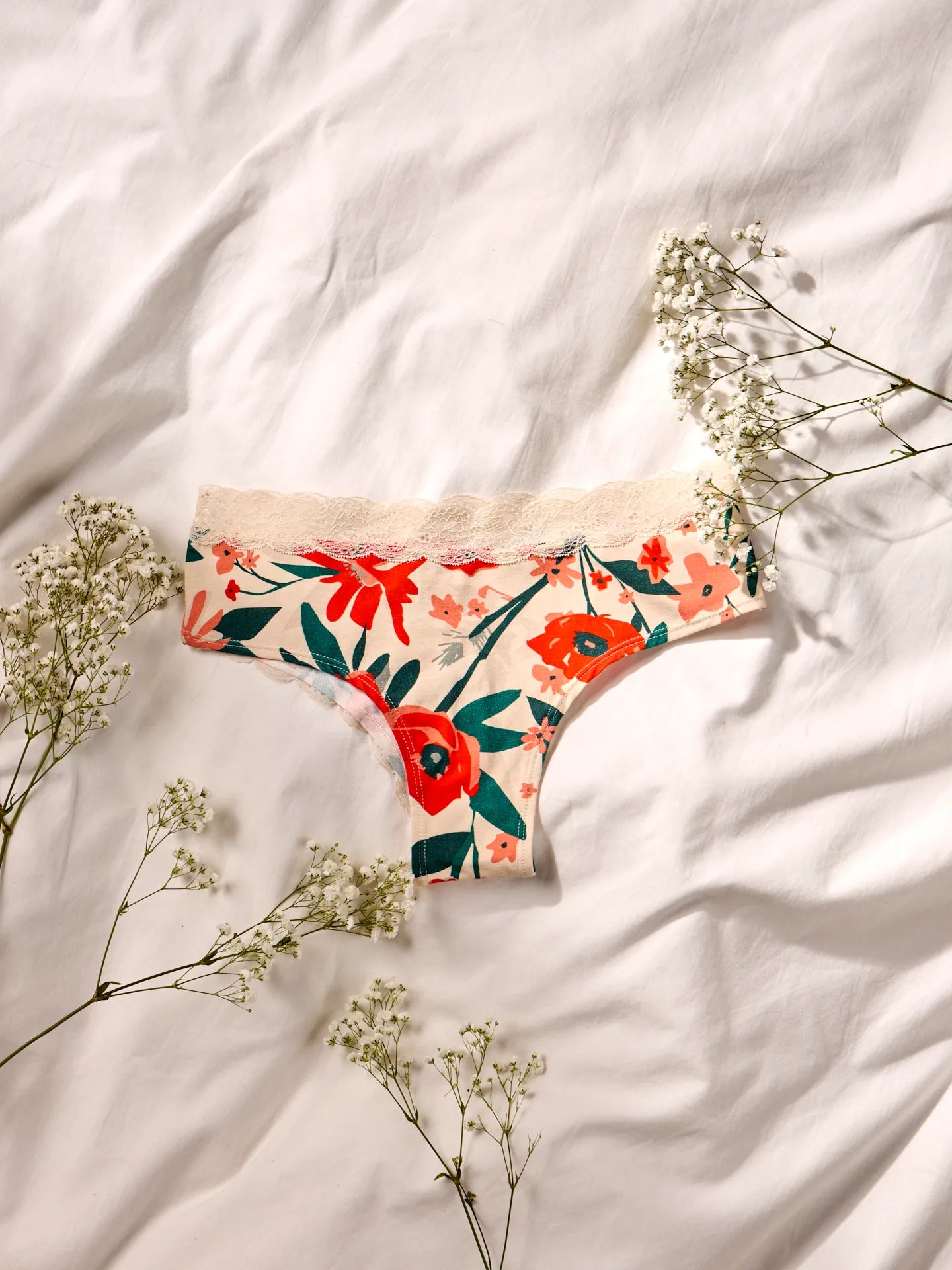 women-s-lace-hipster-briefs-poppy-garden-33/330d200bac6168ee1f1577cd74da623f9ab65c63