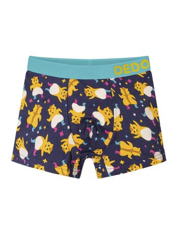 Vrolijke boxers voor jongens Party hamsters