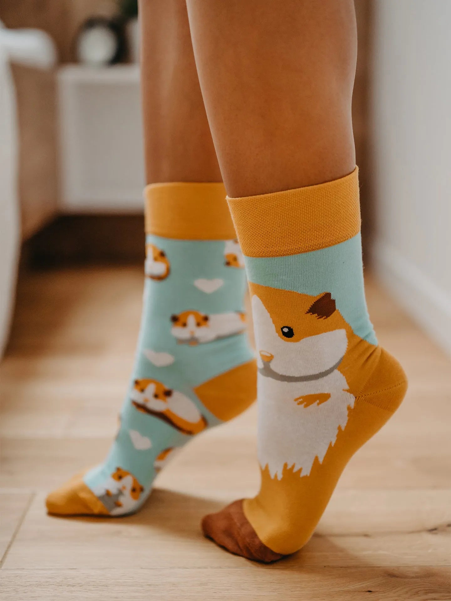 regular-socks-guinea-pig-3e/3e486f49549249b350223bdc86d70298085cc4c9