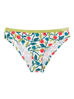 womens-briefs-raspberries-1-40/4045c2771d5a63c2d229c71a12af2741bbba05d3