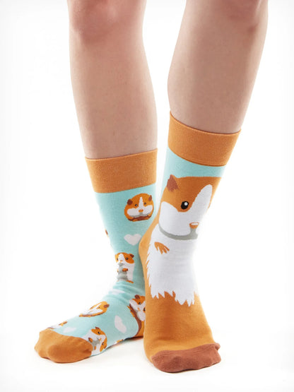 regular-socks-guinea-pig-41/414abcb10612d1022acf263ea4d151a69170032d