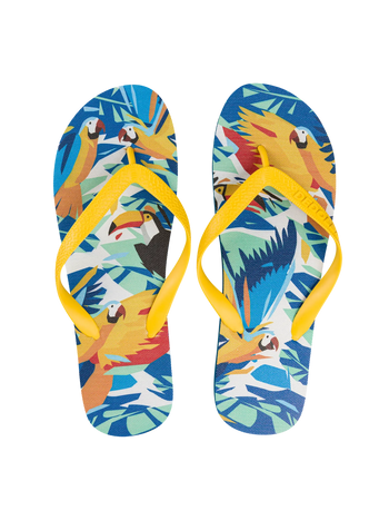 Vrolijke flip-flops Tropische vogels