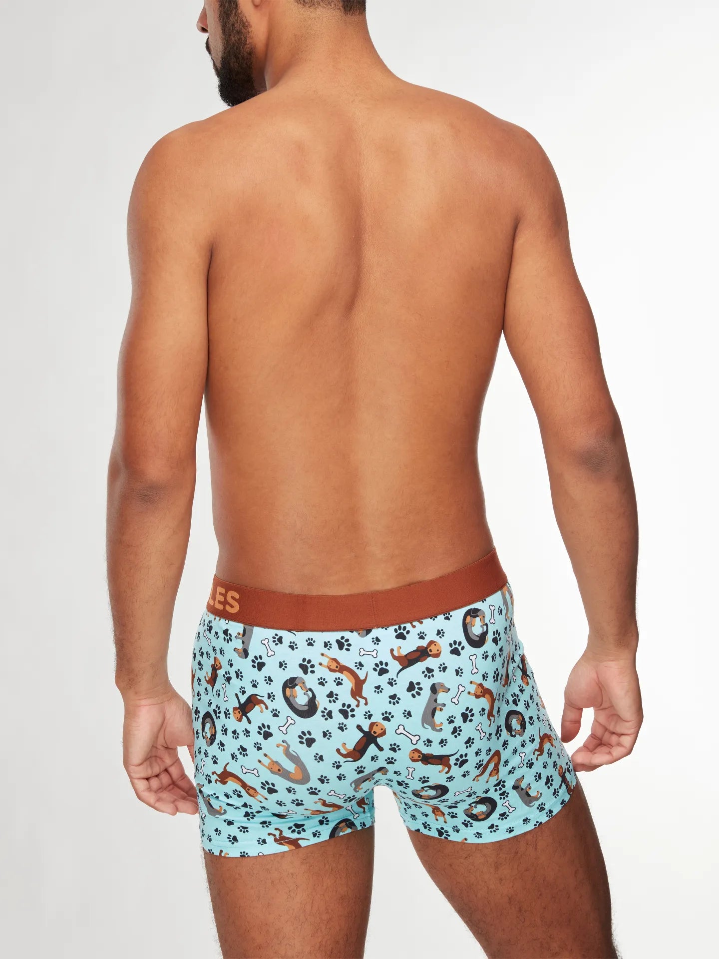 mens-trunks-dachshund-1-4b/4bc0d1a2ce51b75a945547f6a8dd8a7f6069543e