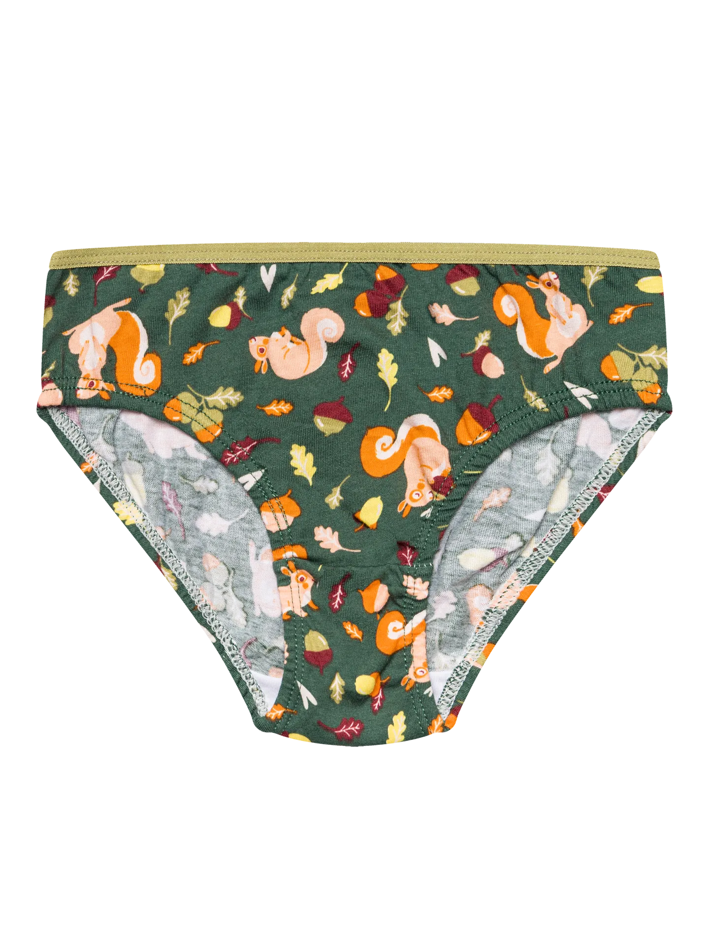 girls-briefs-squirrel-4c/4c892905a5e86d708a5e4f6e007d68fc93596516