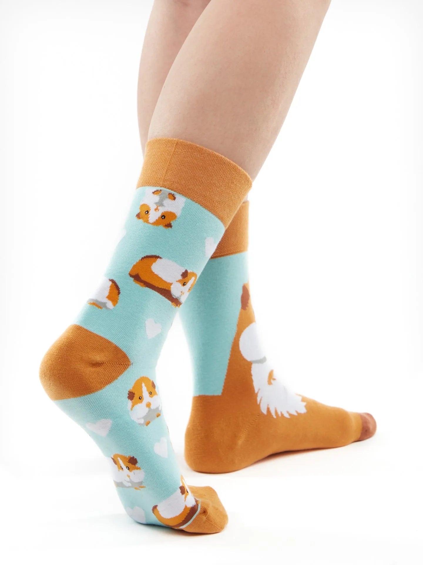 regular-socks-guinea-pig-50/50e53cbca868a23f89dc2d891a5dd25aa70c1bd5
