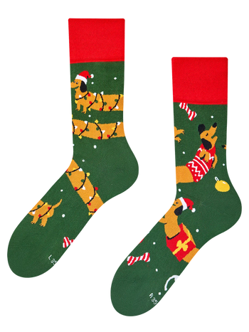 Vrolijke sokken Teckel en cadeaus