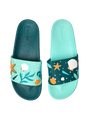 slides-seashells-5d/5d17fd7866ba270bf7d4338b476c66839bcd609f