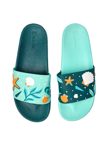 Vrolijke sliders Schelpen