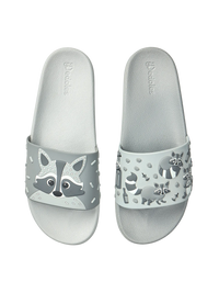 slides-racoon-5e/5e4705081bc2797a6d97eb9e3ddb4d7aeb5ca984