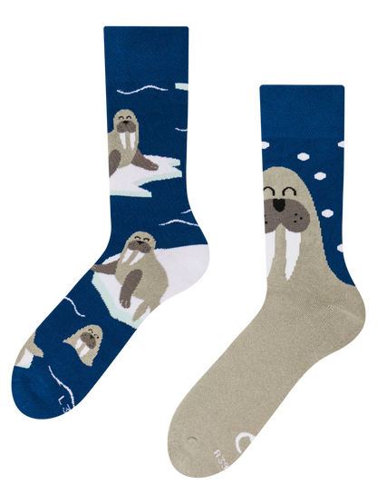warm-socks-walrus-66/662cfb8ed4732d18dbab570247d690a7c35c2add