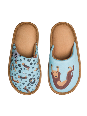 Vrolijke kinderslippers Teckel