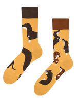 regular-socks-dachshunds-7a/7a9d9ee6d92d14ded441c93b34a97d16327984ef