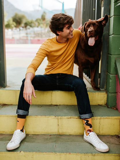 regular-socks-dachshunds-80/807ae6f3eae2b1e4b1948670aecf18d05b9a8841