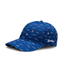 Vrolijke pet Zeilboten
