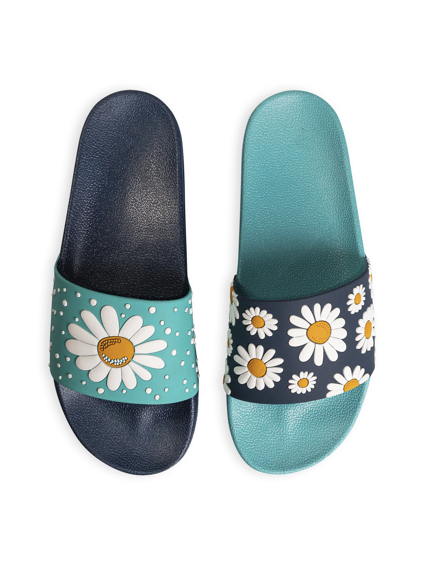 slides-daisy-blossom-aa/aa72b0ce1d09ba97872edac0fe735ab3b086e0ae