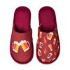 Vrolijke slippers Gouden bier