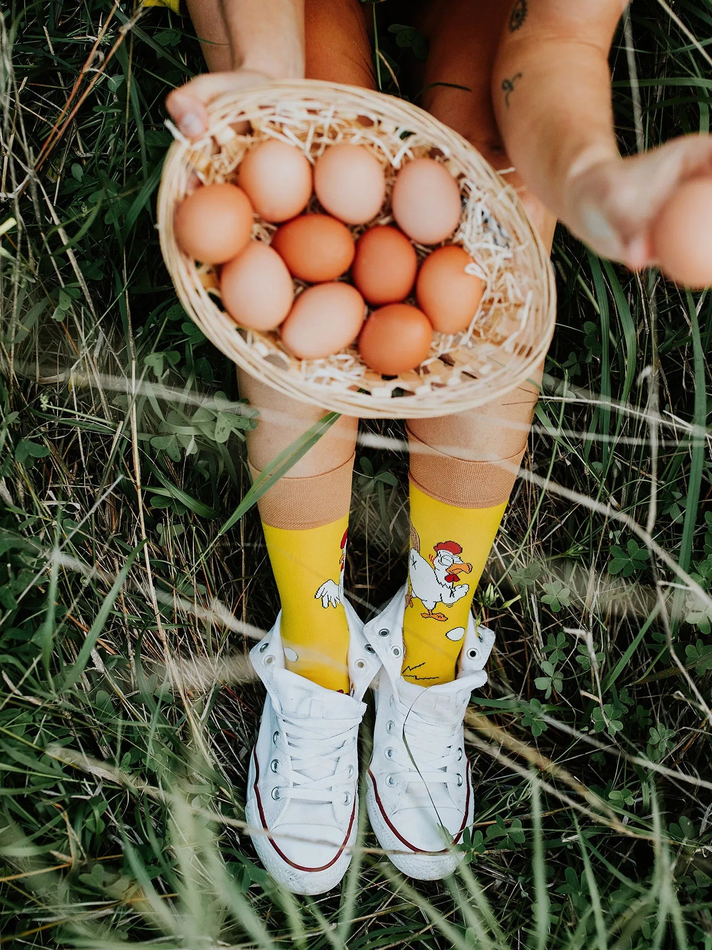 regular-socks-chicken-or-the-egg-b5/b5c9e6715825adbb59db7384b8eed98249d3f51a