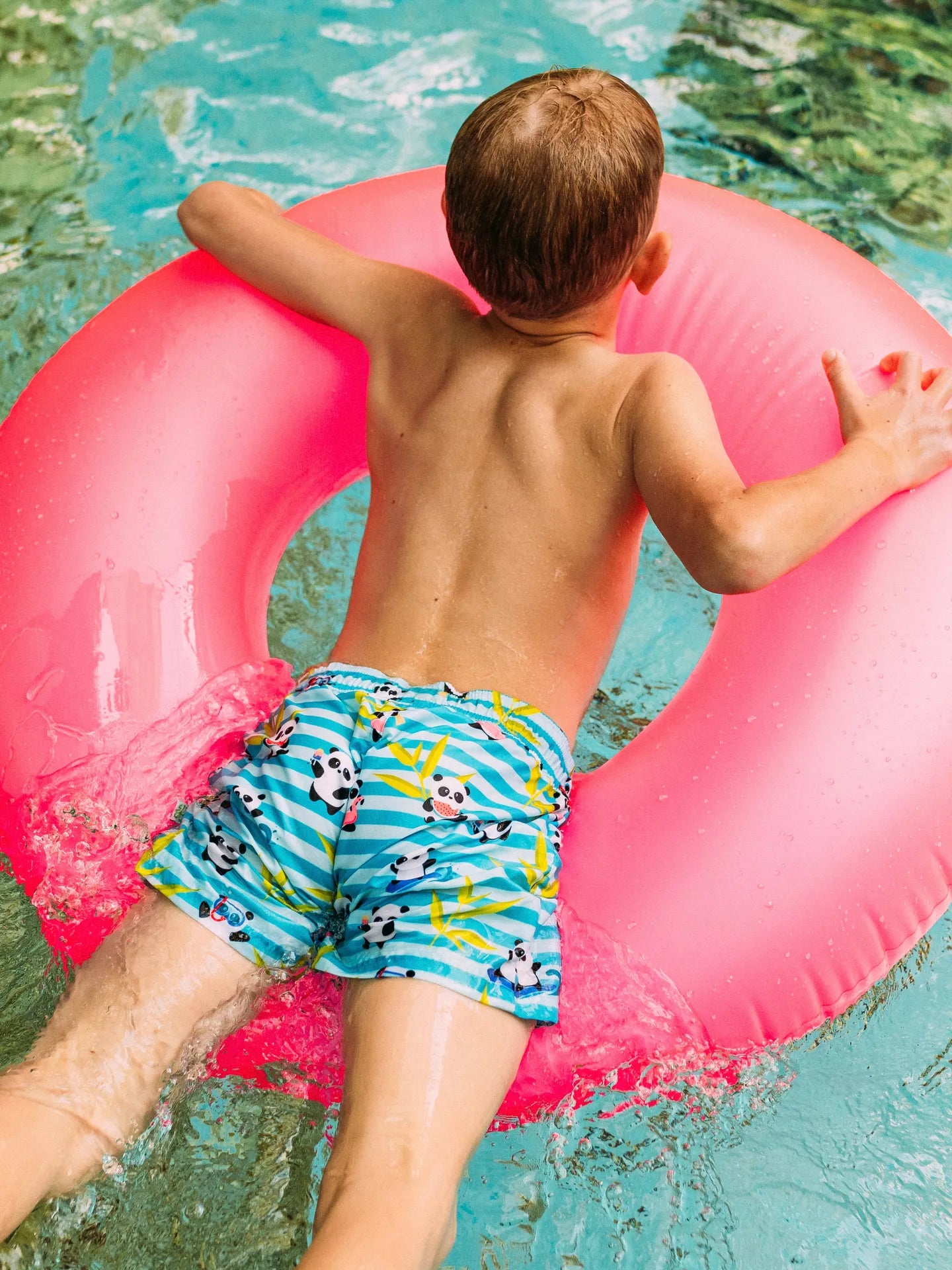 boys-swim-shorts-vacation-panda-b8/b8eb675c934398f7c9cc4fad8bff4ebad4fd38e9