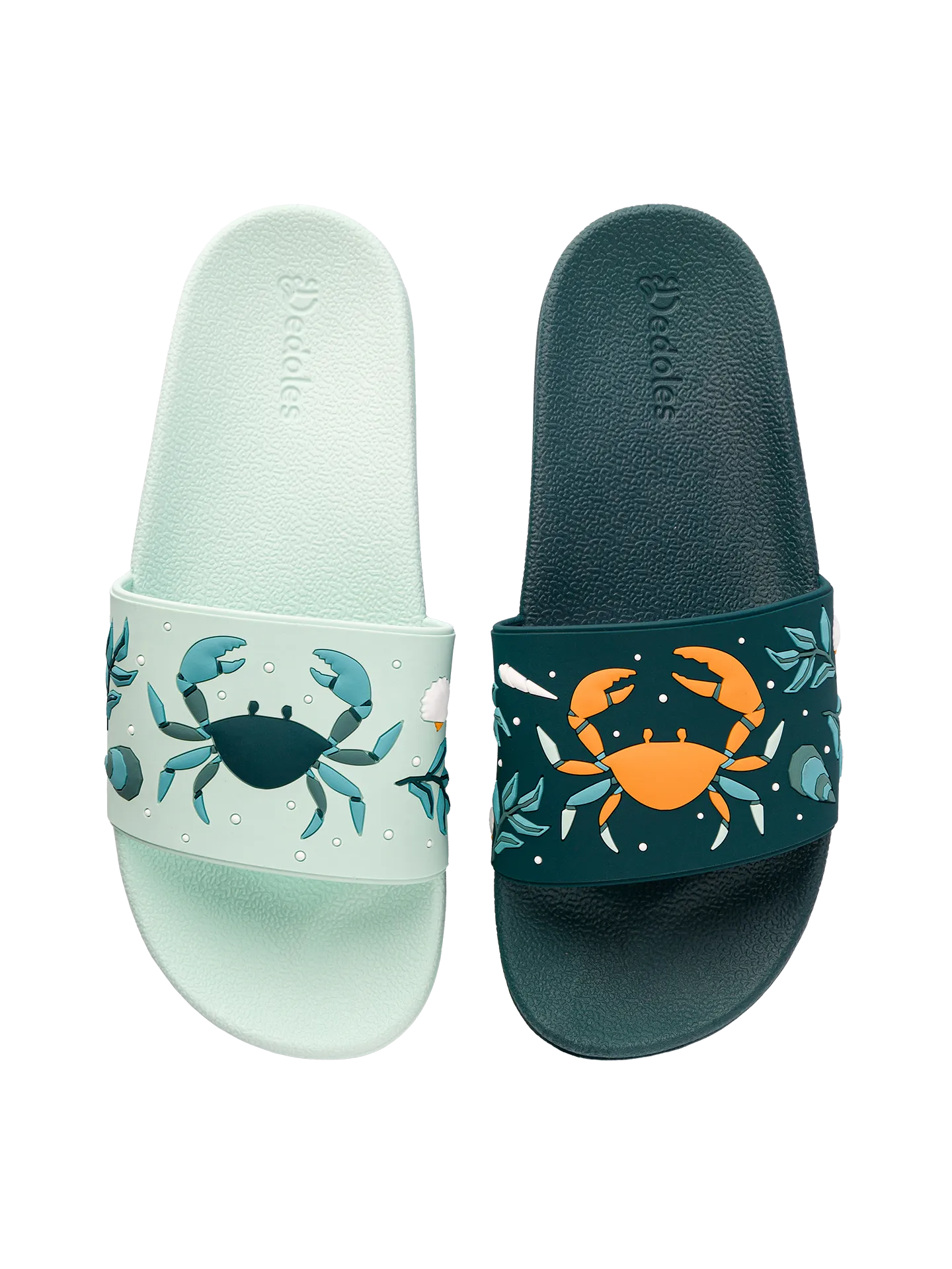 slides-sea-crab-ba/ba6fdb07432531d16b180c53b6635accdc1119e3