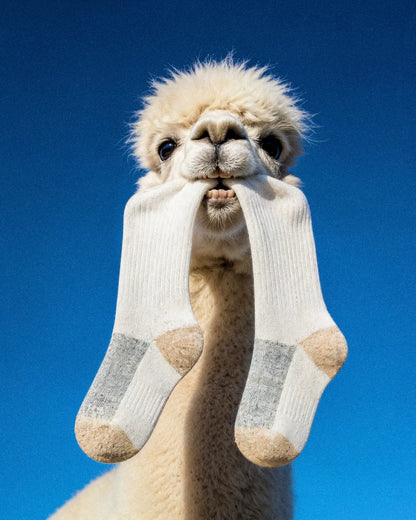 beige-grey-alpaca-socks-bc/bc77366268c77cc702ac8c74e6ac3a5f845d29fb