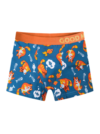 Vrolijke boxers voor jongens Katten en vissen