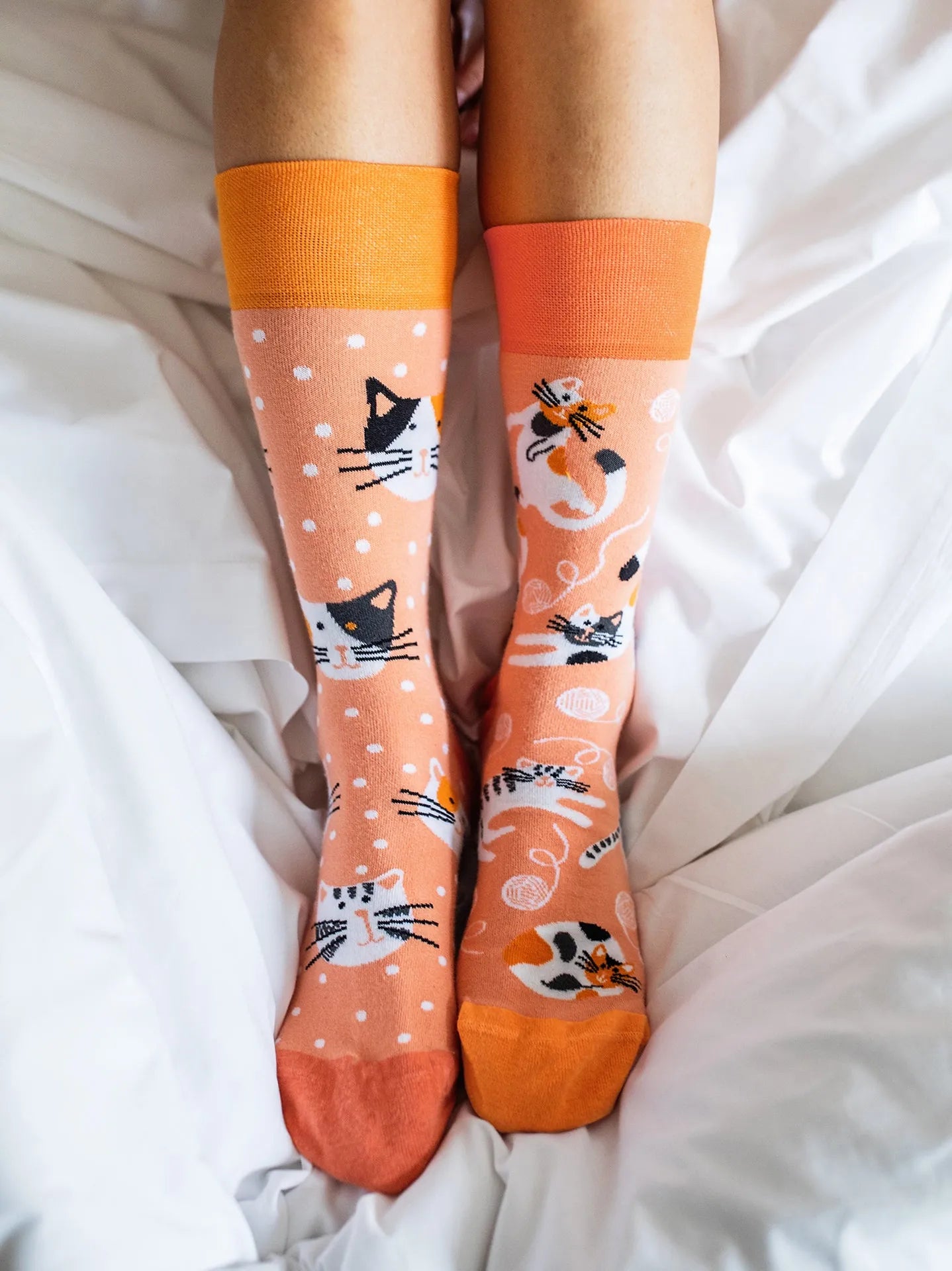 regular-socks-playful-cats-d6/d60440ad25092822cec51f3862ca42e2744ab945