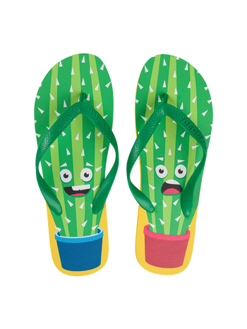 Vrolijke flip-flops Grappige cactus