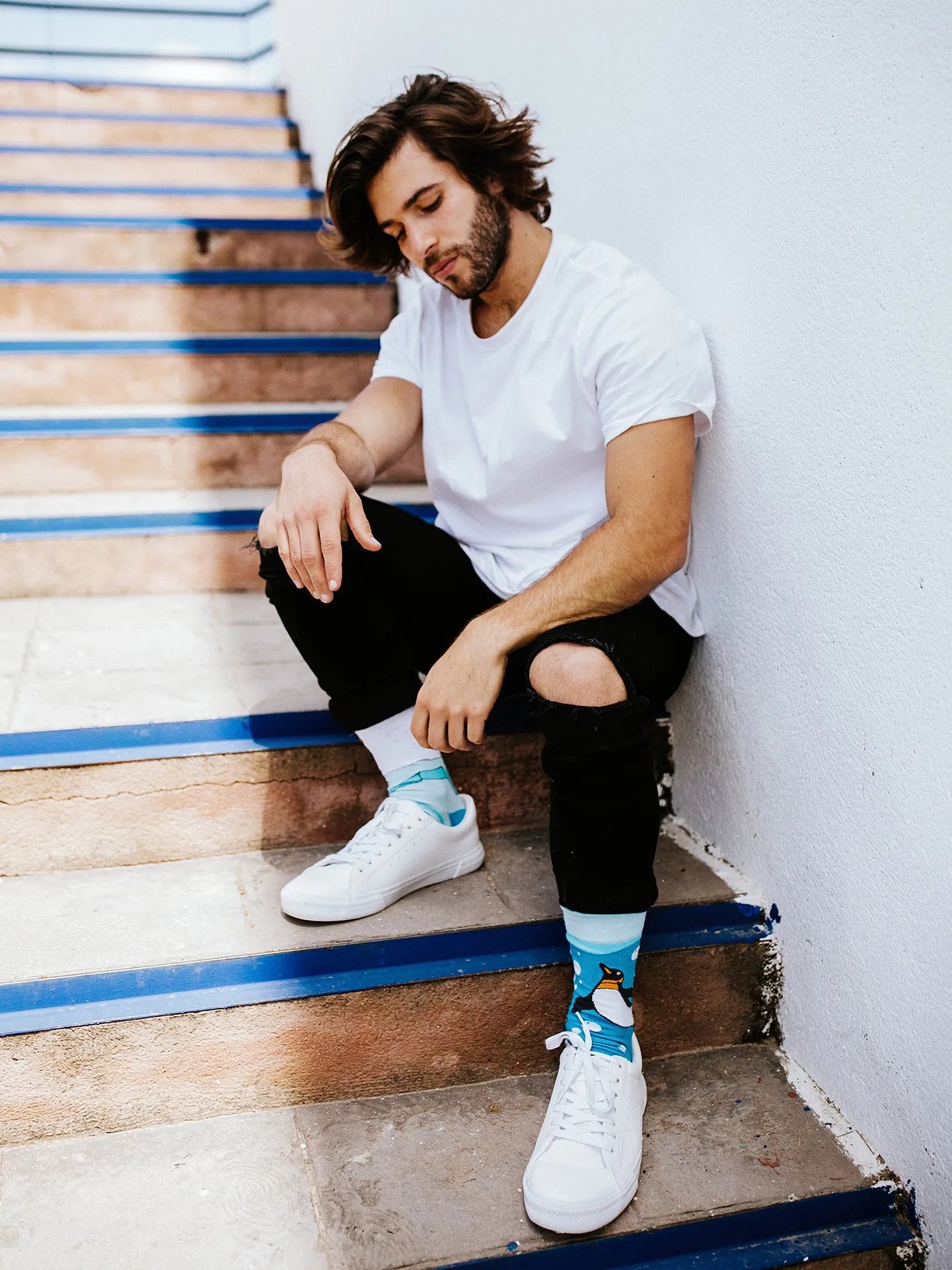 regular-socks-penguins-f1/f11531602076c694c23e189e030319d426a94775