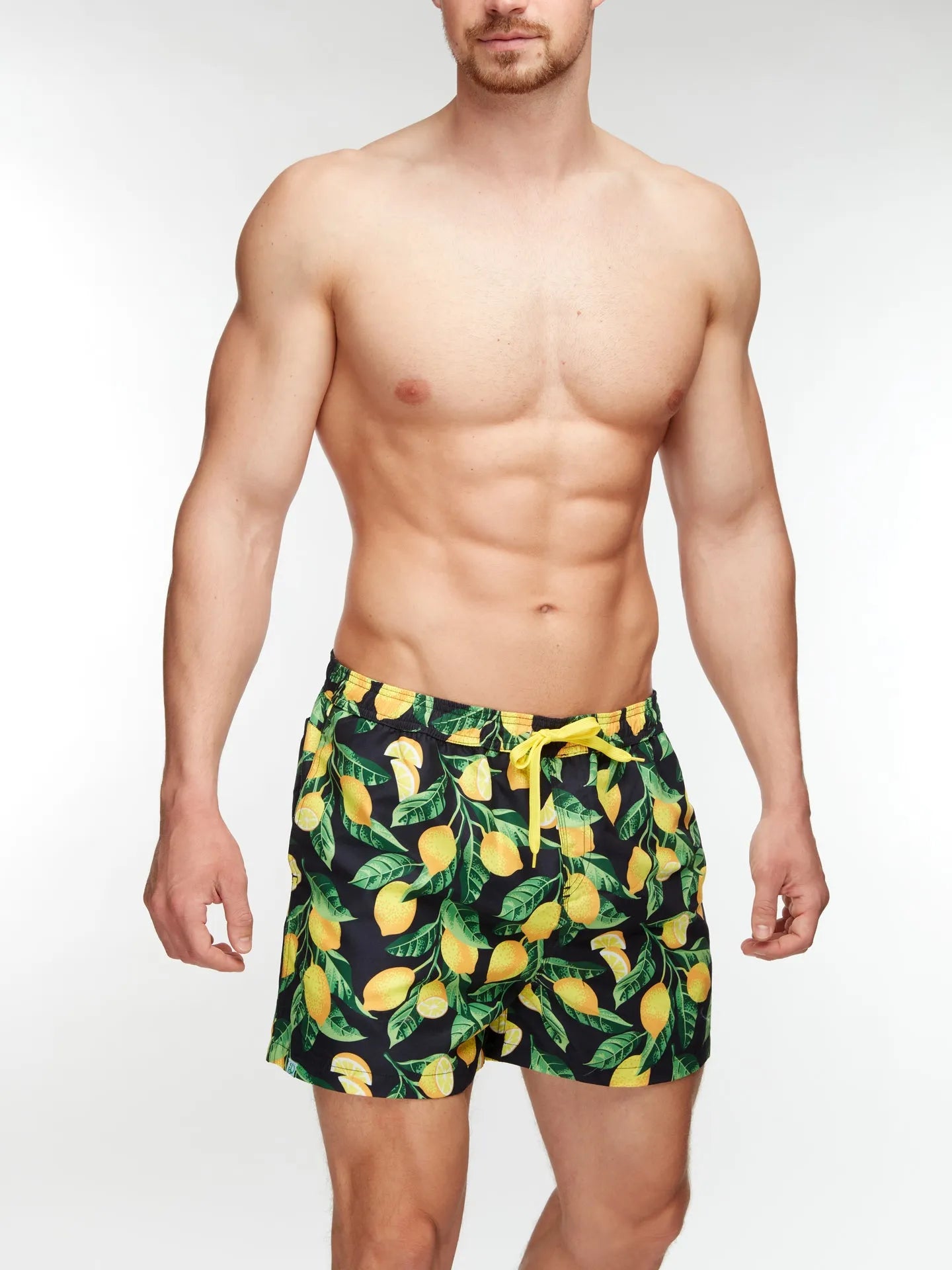 mens-swim-shorts-lemons-f4/f48d0b3087ccca91cedb9f9942120ceaf3aae21e