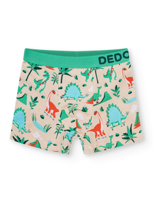 Vrolijk boxers voor jongens Dino skatepark