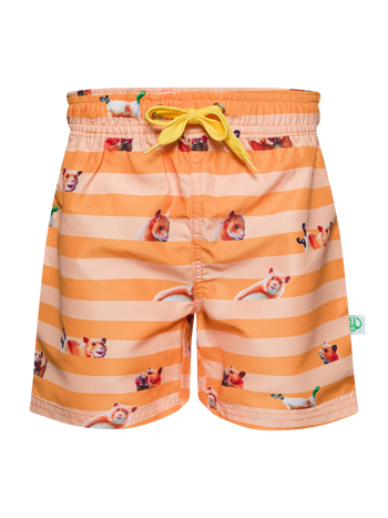 Vrolijke zwemshorts voor jongens Hamster & strepen