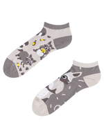 ankle-socks-racoon-fb/fb516db1e793552c4ae9c492a9f7b1d205af0a32